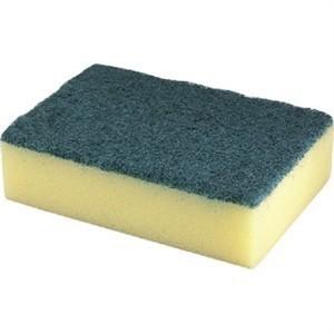 Sponge Scourer 10 per pack