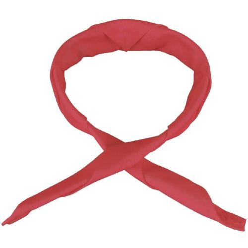 Red Neckerchief