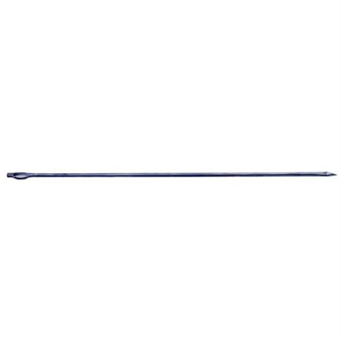 Trussing Needle