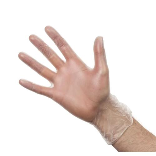 Clear Vinyl Gloves - Powdered (10 boxes per case)