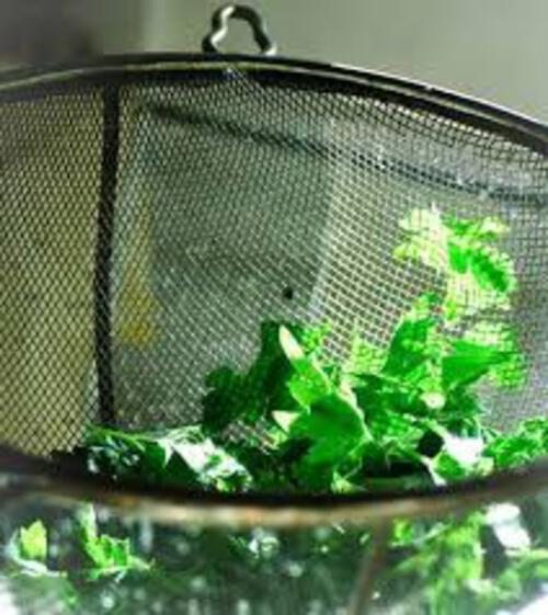 Strainers, Chinois and Moulin