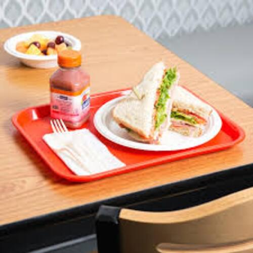 Fast Food Canteen Trays
