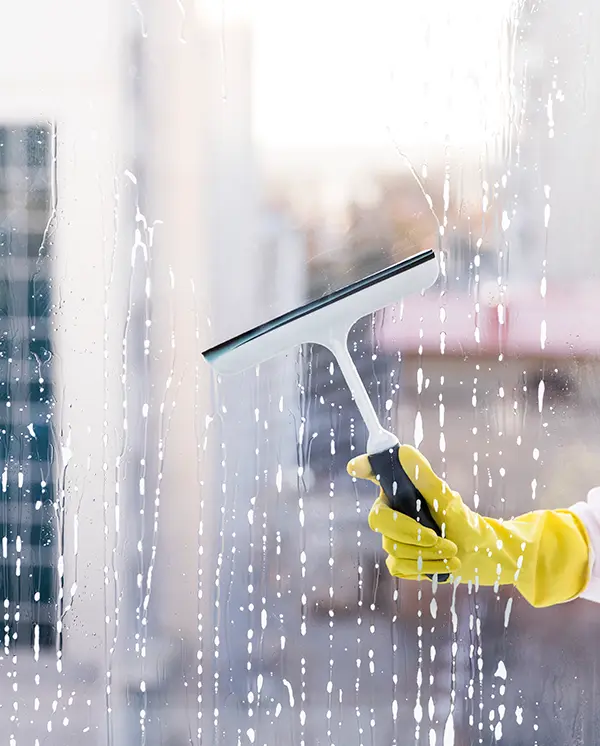 Window Cleaning