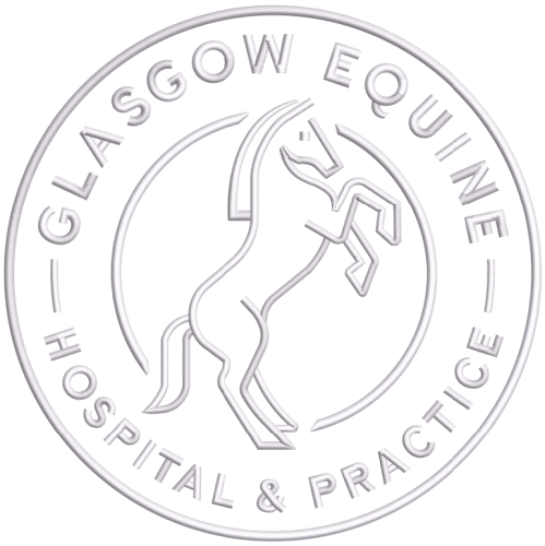 Glasgow Equine Large Back, 19,472 Stitches