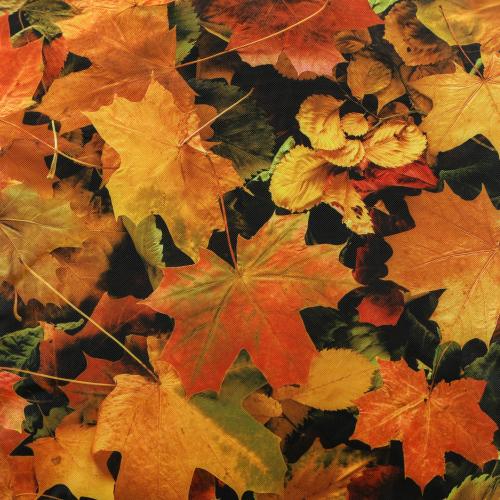 ED10CUSH-SEASON