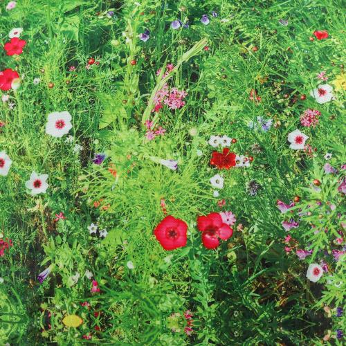 ED10CUSH-SEASON