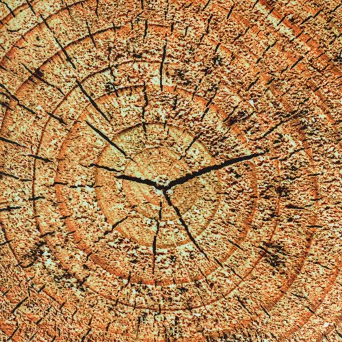 ED3FSTODTREE