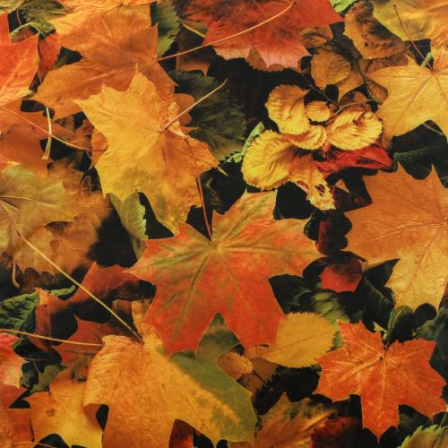 ED1KBGLEAVES