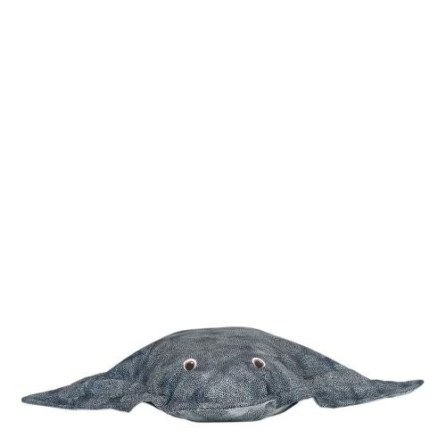 ED1STINGRAY