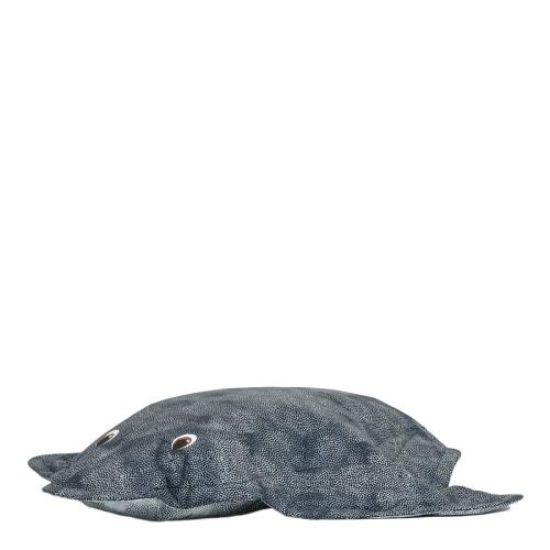 ED1STINGRAY