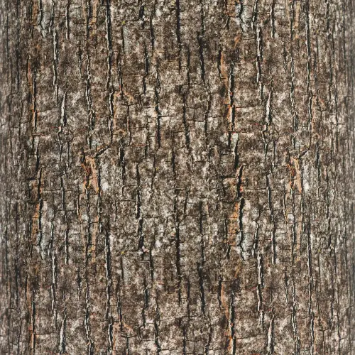 ED1FOAMLOG