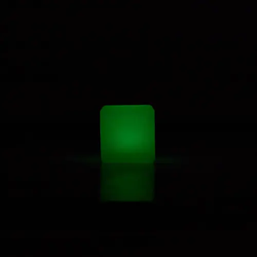HP00060981
