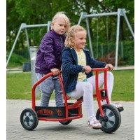 HE1819229 / PRO-56300