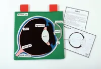 Big Eye - Interactive Display