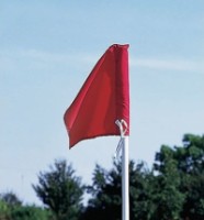 steve@larkswood.co.uk