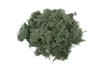 Finland Moss Dark Green 100g