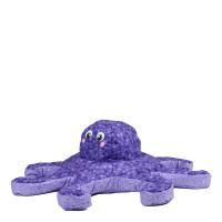 ED1ZOOOCTOPUS