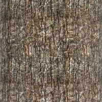 ED1FOAMLOG
