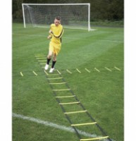 steve@larkswood.co.uk