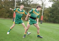 steve@larkswood.co.uk