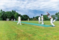 steve@larkswood.co.uk