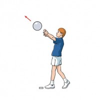 steve@larkswood.co.uk