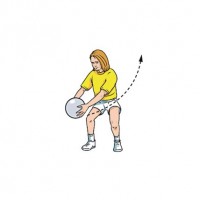 steve@larkswood.co.uk