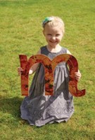 steve@larkswood.co.uk