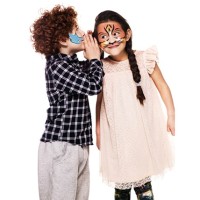 steve@larkswood.co.uk