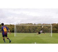 steve@larkswood.co.uk