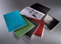 steve@larkswood.co.uk