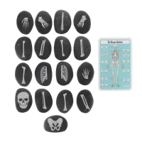 Human Bones Discovery Stones