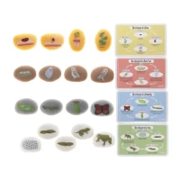 Life Cycle Discovery Stones