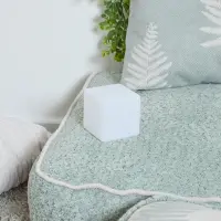 HP00060981