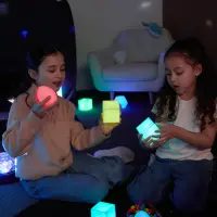 HP00060981