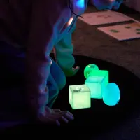 HP00060981