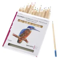 Specialist Crafts Watercolour Pencils - Set x 24