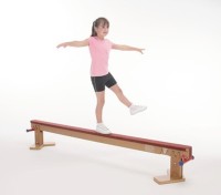 steve@larkswood.co.uk