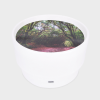 Sensory Mood Discovery Table + Forest Discovery Play Mat