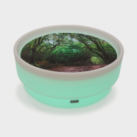 Discovery Glow Low Table + Forest Discovery Play Mat