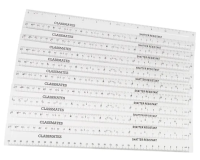 Classmates Shatter Resistant Ruler Transparent 30cm - Pack x 100