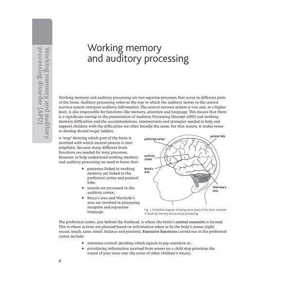 Target Ladders: Working Memory and Auditory Processing