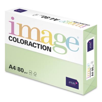 Case Image Coloraction Pale Green A4 Paper 80gm
