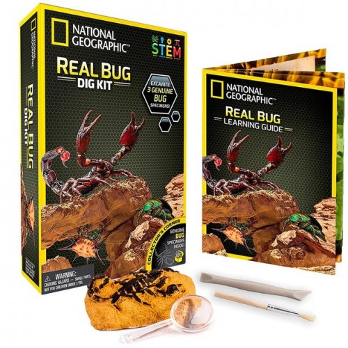 National Geographic Real Bug Dig Kit