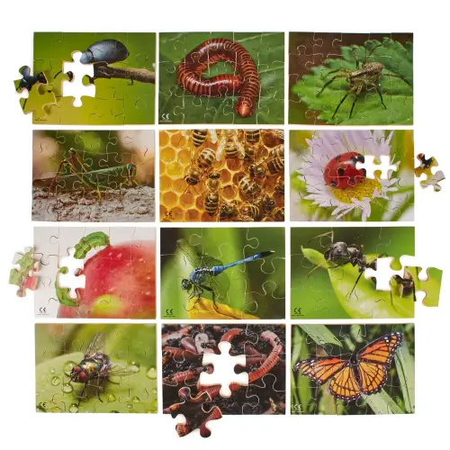 Mini Beasts Nature Jigsaw Puzzles - 200 x 150mm - Assorted - Pack of 12