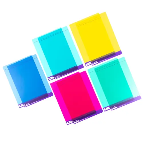 A5/210 x 148mm LDA Reading Overlays - Assorted - Pack of 10