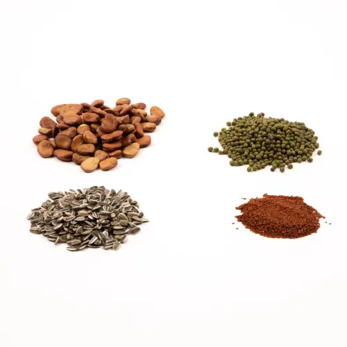 Bumper Seeds Pack - 250g Sunflower, 100g Cress, 500g Mung Bean & 500g Broad Bean - Per Pack