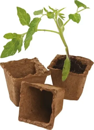 Square Fibre  Seedling Gardening Pots - 6cm - Pack of 20