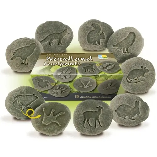 Yellow Door Let's Investigate Woodland Footprints - 70-80mm - Assorted - Pack of 8