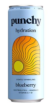 Punchy Blueberry Hydration Can 330ml x 12
